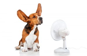 energy-saving-tips-to-lower-your-AC-costs-Judi_Wright