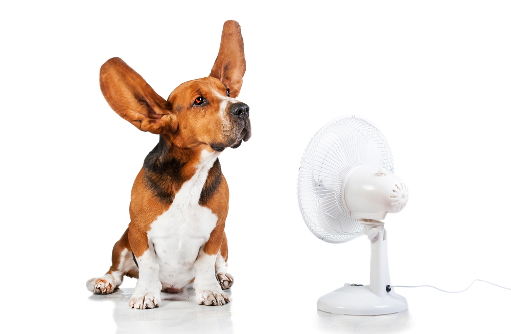 energy-saving-tips-to-lower-your-AC-costs-Judi_Wright