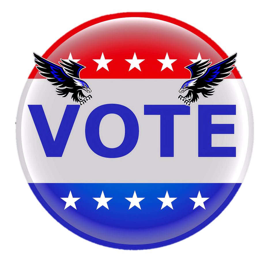 Vote in Frisco- Judi-Wright-Team