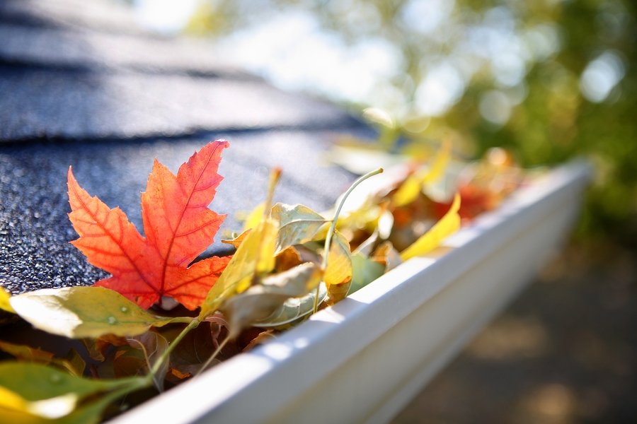 How to clean gutters - Homeowner Maintenance | Judi Wright Team | Best Frisco Real Estate Agent