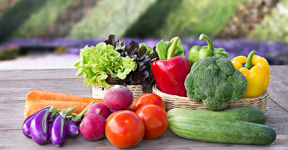 Fresh Produce Delivery to your home - The Judi Wright Team